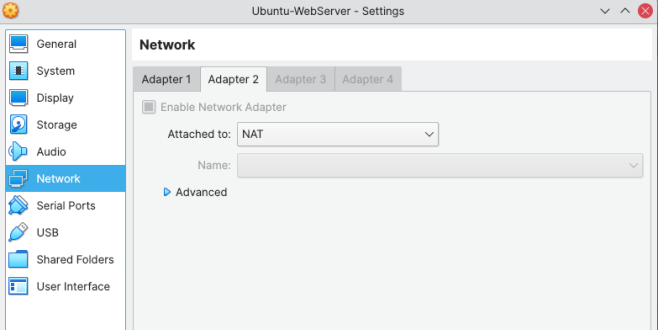 network adapter 2